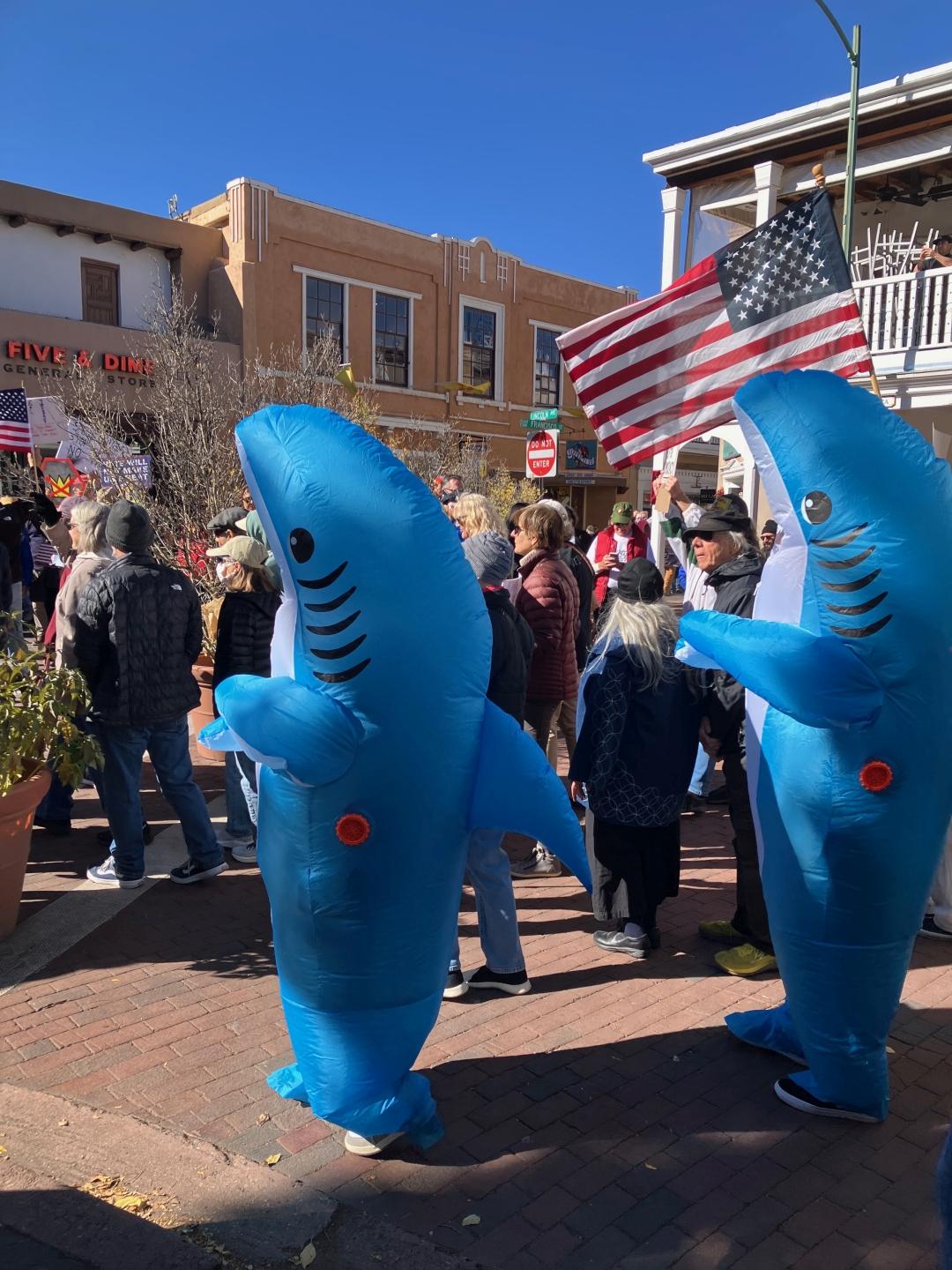 photo of the crowd at No Kings protest in Santa Fe, NM